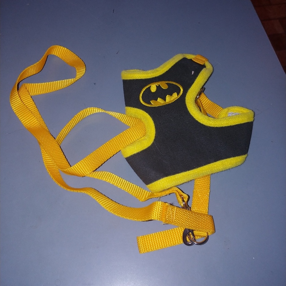 Small Harness